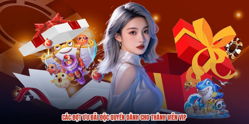 Các đợt ưu đãi độc quyền dành cho thành viên VIP Các đợt ưu đãi độc quyền dành cho thành viên VIP