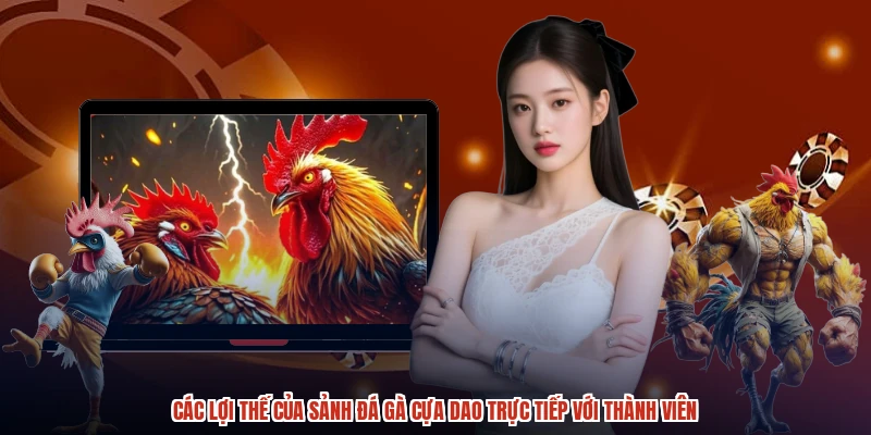 Các lợi thế của sảnh đá gà cựa dao trực tiếp với thành viên Các lợi thế của sảnh đá gà cựa dao trực tiếp với thành viên