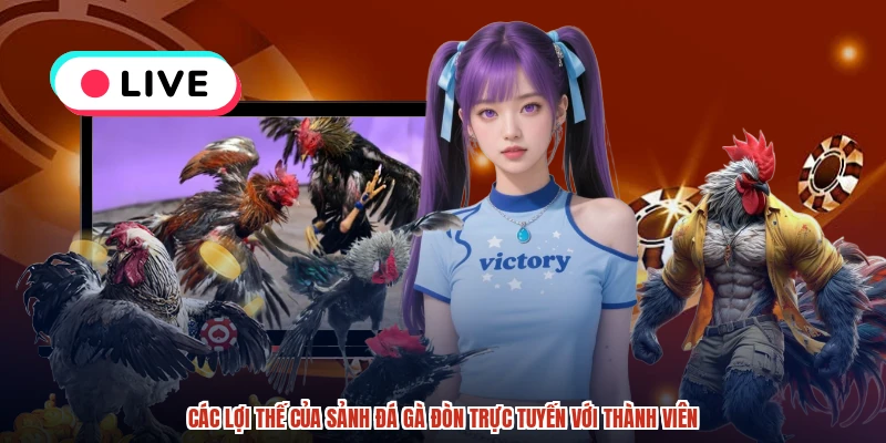 Các lợi thế của sảnh đá gà đòn trực tuyến với thành viên Các lợi thế của sảnh đá gà đòn trực tuyến với thành viên