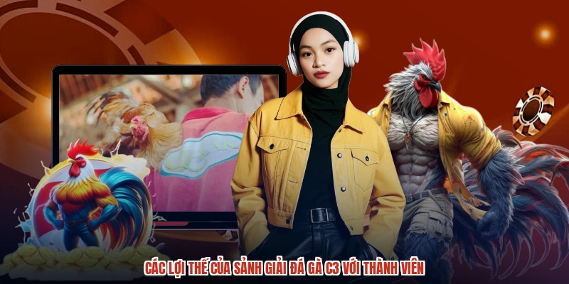 Các lợi thế của sảnh giải đá gà C3 với thành viên