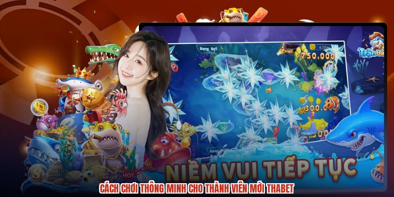Cách chơi thông minh cho thành viên mới THABET Cách chơi thông minh cho thành viên mới THABET