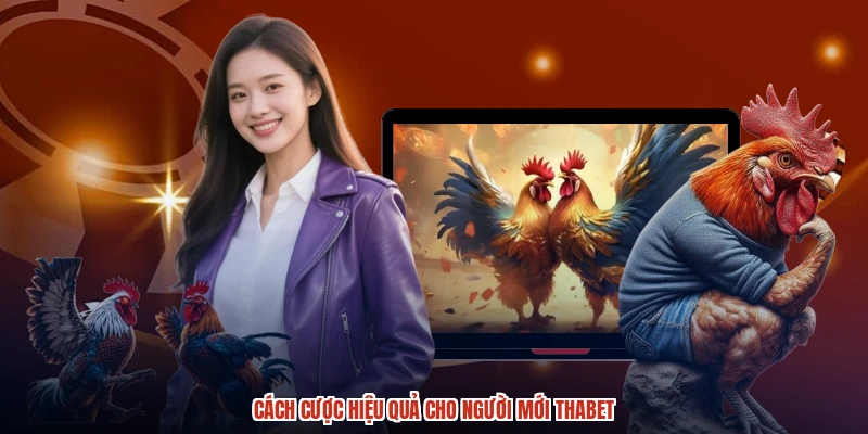 Cách cược hiệu quả cho người mới THABET Cách cược hiệu quả cho người mới THABET
