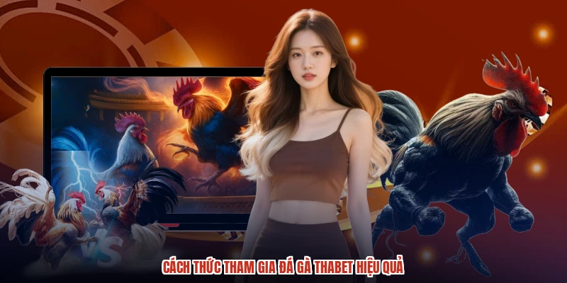 Cách thức tham gia đá gà THABET hiệu quả Cách thức tham gia đá gà THABET hiệu quả