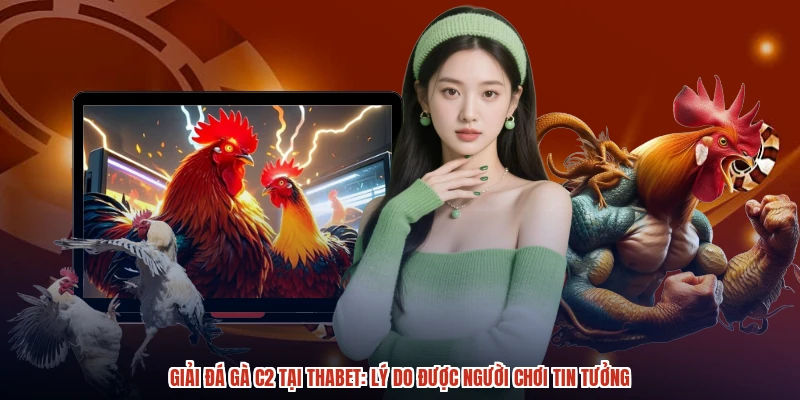 Giải Đá Gà C2 Tại THABET Lý Do Được Người Chơi Tin Tưởng