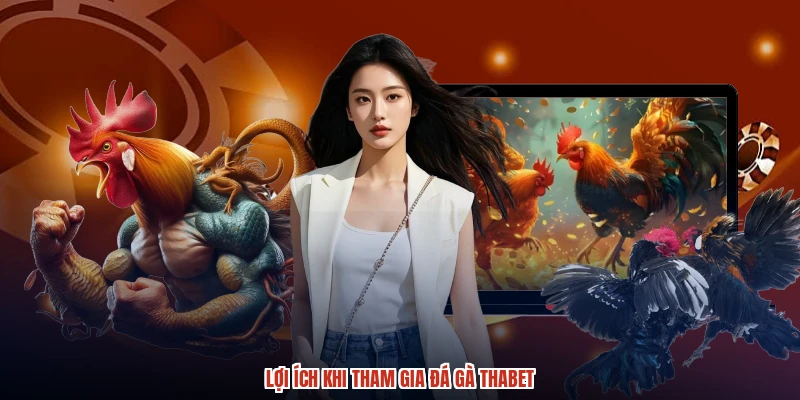 Lợi ích khi tham gia đá gà THABET Lợi ích khi tham gia đá gà THABET