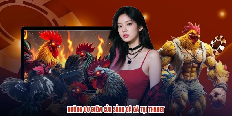 Những ưu điểm của sảnh đá gà tại THABET Những ưu điểm của sảnh đá gà tại THABET