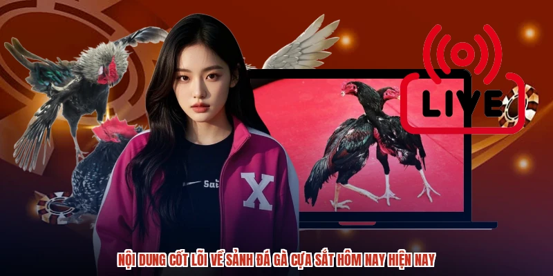 Nội dung cốt lõi về sảnh đá gà cựa sắt hôm nay hiện nay Nội dung cốt lõi về sảnh đá gà cựa sắt hôm nay hiện nay