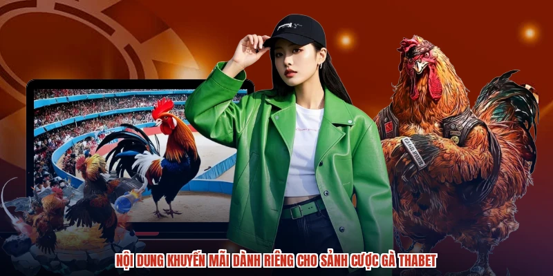 Nội dung khuyến mãi dành riêng cho sảnh cược gà THABET Nội dung khuyến mãi dành riêng cho sảnh cược gà THABET