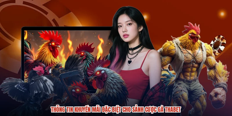 Thông tin khuyến mãi đặc biệt cho sảnh cược gà THABET Thông tin khuyến mãi đặc biệt cho sảnh cược gà THABET