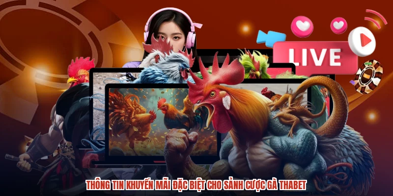 Thông tin khuyến mãi đặc biệt cho sảnh cược gà THABET