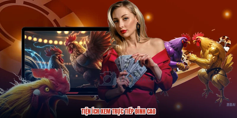 Tiện ích xem trực tiếp đỉnh cao Tiện ích xem trực tiếp đỉnh cao