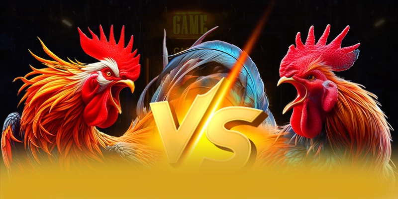 FB88 - Trang game cung cấp hàng trăm tựa game đẳng cấp trên thị trường FB88 - Trang game cung cấp hàng trăm tựa game đẳng cấp trên thị trường