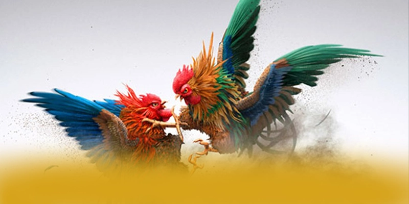 Độ tin cậy thông tin người dùng tại [THUONG_HIEU]
