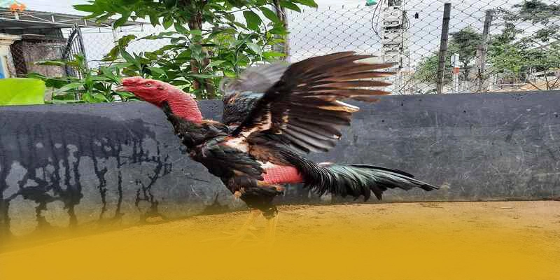 Phương thức thanh toán tiện lợi tại 8XBET Phương thức thanh toán tiện lợi tại 8XBET
